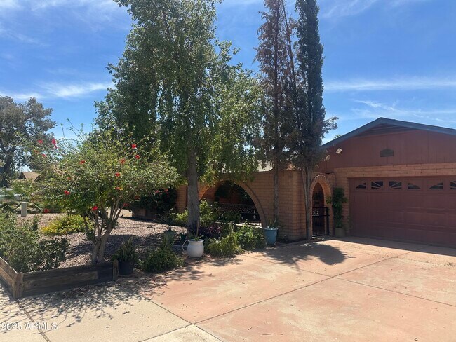 6638 N 80th Pl in Scottsdale, AZ - Building Photo - Building Photo