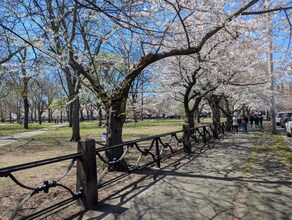278 St John St in New Haven, CT - Building Photo - Building Photo