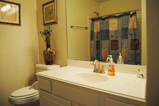 14611 Carolina Hollow Ln in Houston, TX - Building Photo - Building Photo