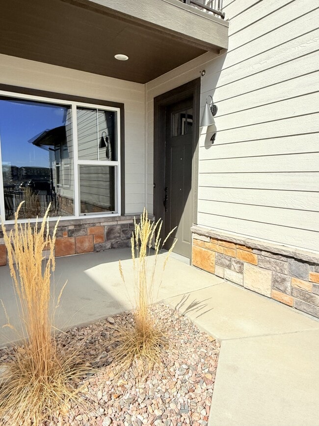 938 Schlagel St in Fort Collins, CO - Building Photo - Building Photo