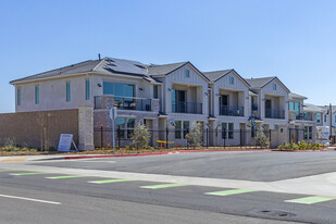 Veneto Park Starling Townhomes