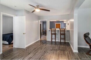 388 Hillsdale St in Hillsdale, MI - Building Photo