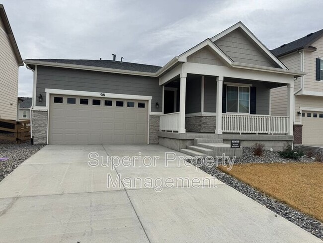 981 Sandhills St in Windsor, CO - Building Photo - Building Photo