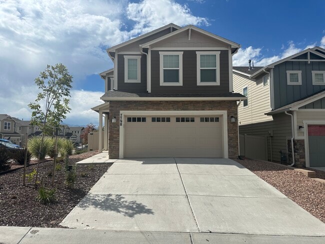 7798 Tent Rock Pt in Colorado Springs, CO - Building Photo - Building Photo