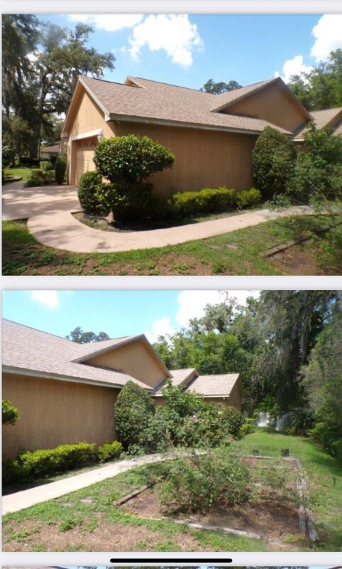 11610 Higdon Dr in Thonotosassa, FL - Foto de edificio - Building Photo