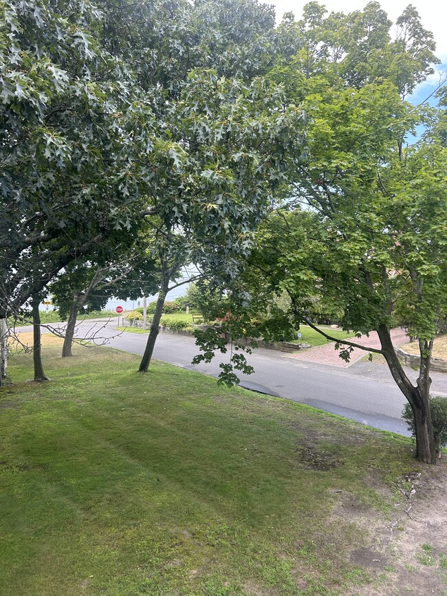 property at 56 Deer Dr