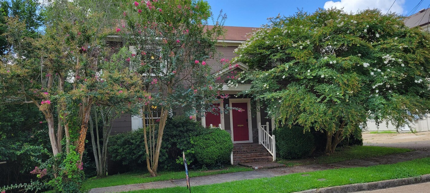 913 Carlisle St in Jackson, MS - Building Photo