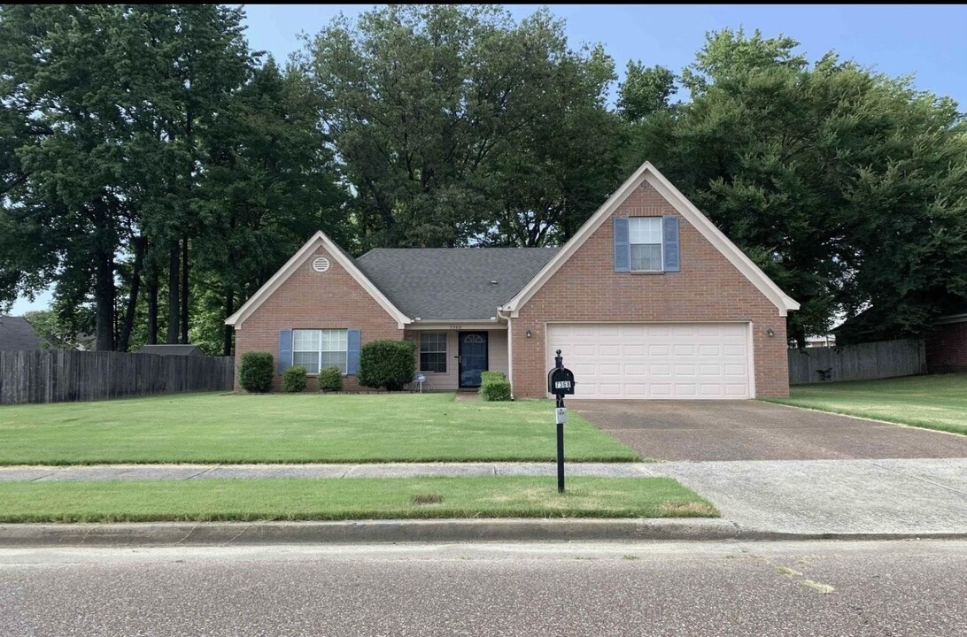 7368 Lavita Cove in Memphis, TN - Foto de edificio