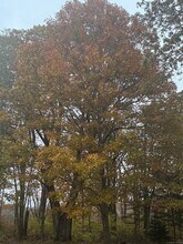 20 Dartmouth Rd in Mansfield, CT - Building Photo - Building Photo