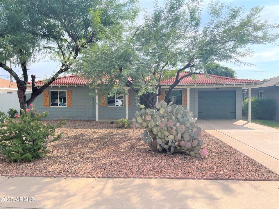 3639 N 21st Ave in Phoenix, AZ - Building Photo