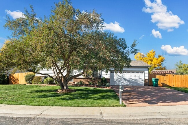 7289 Union Ct in Arvada, CO - Building Photo - Building Photo