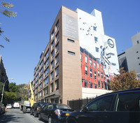 267 Pacific in Brooklyn, NY - Building Photo - Building Photo