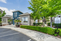 Pavona Apartments in San Jose, CA - Foto de edificio - Building Photo