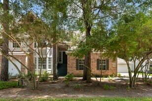 17 N Spiral Vine Cir in The Woodlands, TX - Building Photo