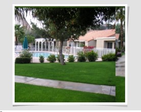 Catalina Gardens in Palm Desert, CA - Building Photo - Other