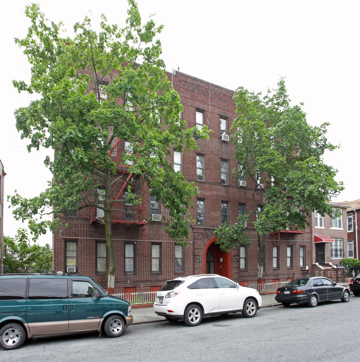 290 E 53rd St in Brooklyn, NY - Building Photo