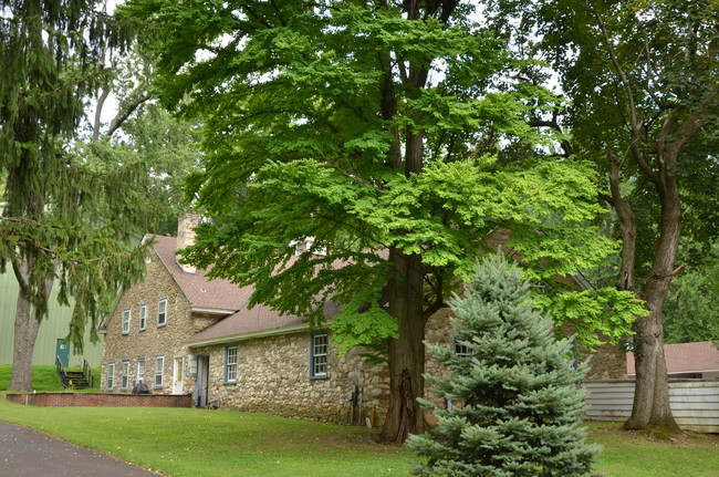 1901 E Pennsylvania Ave in Oreland, PA - Building Photo - Building Photo