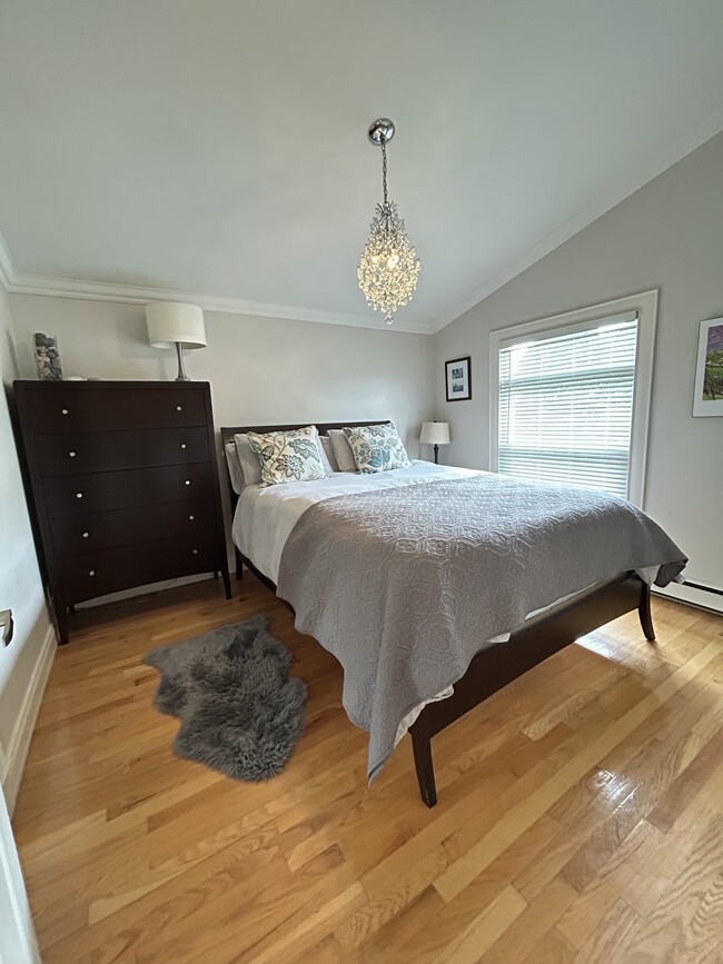 37 Cowan Ave in St John's, NL - Building Photo - Building Photo