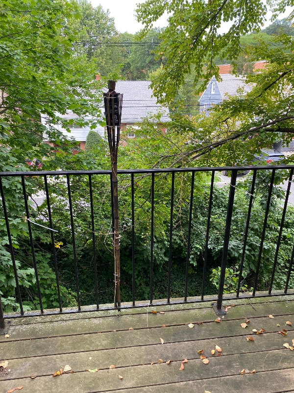 350 E Harriet Ave in Palisades Park, NJ - Building Photo - Building Photo