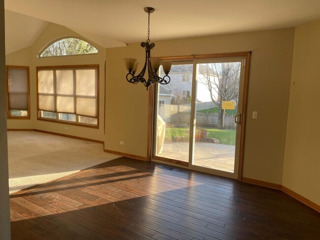 13356 Vicarage Dr in Plainfield, IL - Building Photo - Building Photo