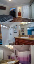 798 Carefree Dr in San Diego, CA - Building Photo - Building Photo