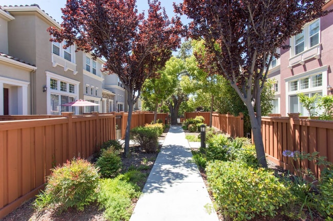 308 Vista Roma Way in San Jose, CA - Building Photo - Building Photo