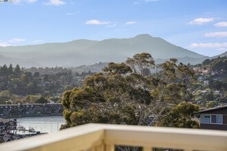34 Andrew Dr in Tiburon, CA - Building Photo - Building Photo