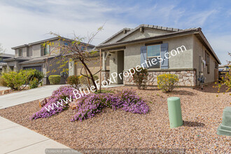 2271 W Alamo Spring Loop in Oro Valley, AZ - Building Photo - Building Photo