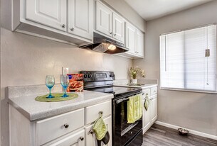 Shoreline Pointe Apartments in St. Petersburg, FL - Building Photo