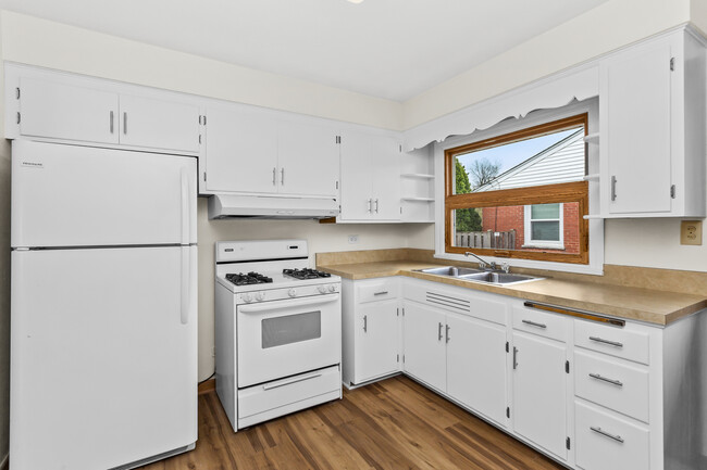117 S Belmont Ave in Arlington Heights, IL - Foto de edificio - Building Photo