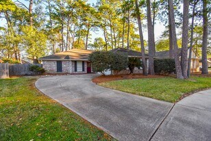 9107 Wallingham Ct in Spring, TX - Building Photo