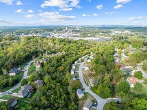 191 Woodbridge Estates Dr in Branson, MO - Building Photo - Building Photo