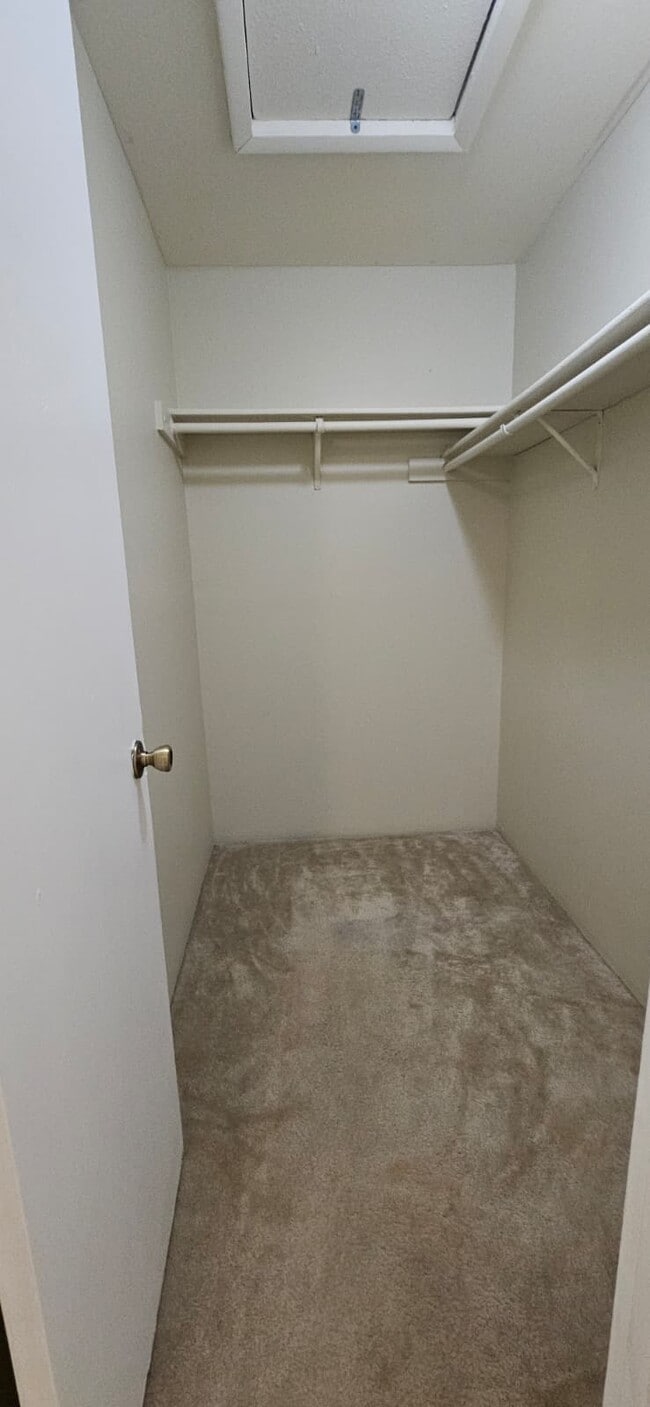 4007 NW 87th Ave in Sunrise, FL - Building Photo - Building Photo