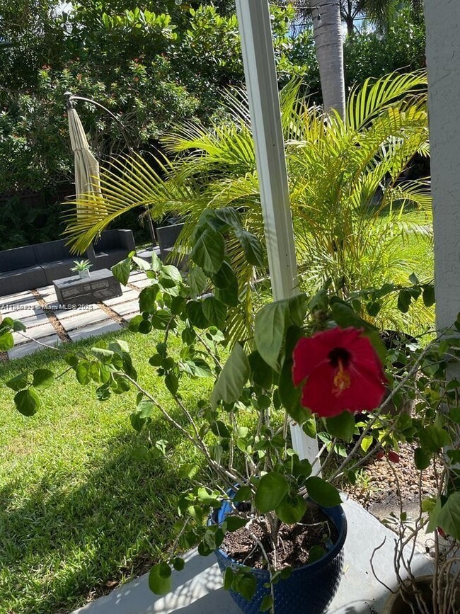72 NE 139th St in Miami, FL - Building Photo - Building Photo