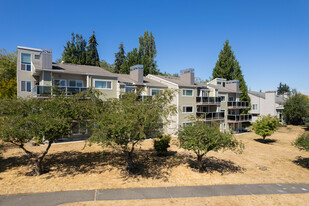 Marymoor Heights in Redmond, WA - Foto de edificio - Building Photo