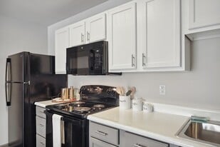 The Social Blue in Murfreesboro, TN - Building Photo