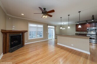 1435 Katie Ln in Palatine, IL - Building Photo - Building Photo