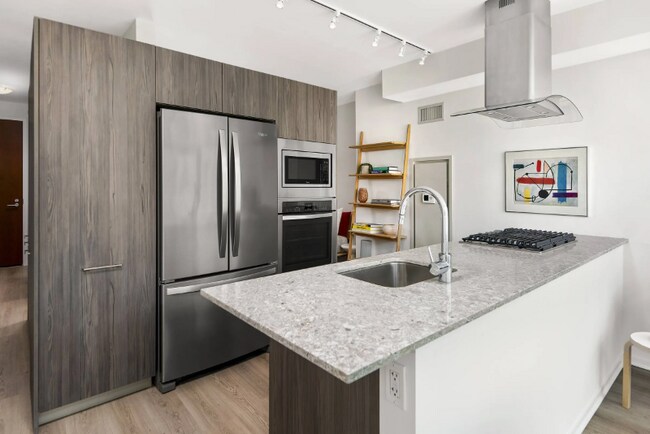 235 E Illinois St in Chicago, IL - Building Photo - Building Photo