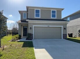 20486 Calla Lily Dr in Land O Lakes, FL - Building Photo