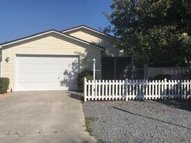748 Angelita Ave in the Villages, FL - Building Photo