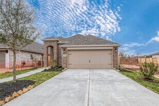 4243 Colony Ln in Missouri City, TX - Building Photo