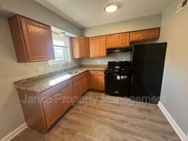 392 W Hickory St in Chicago Heights, IL - Building Photo