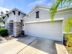33147 Shadow Branch Ln in Wesley Chapel, FL - Building Photo - Building Photo
