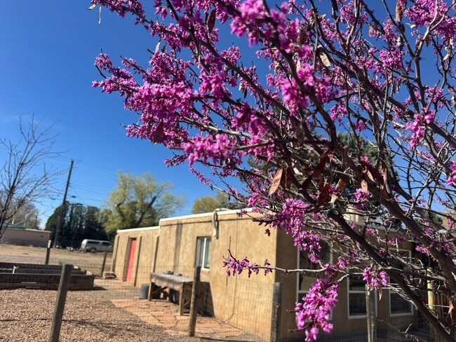 property at 330 Pueblo Solano Rd NW