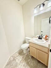 906 Ashbrook Dr in Windsor, CO - Building Photo - Building Photo