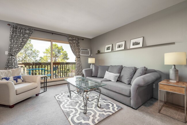 161 Calle Ojo Feliz in Santa Fe, NM - Building Photo - Building Photo