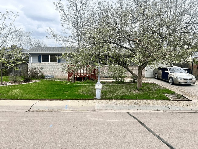 property at 1332 Torrey's Peak Dr