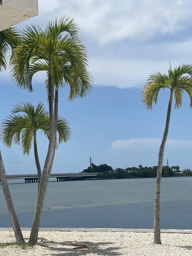 29420 Enterprise Ave in Big Pine Key, FL - Building Photo - Building Photo