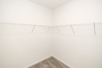 248 Hayley St in Winter Haven, FL - Building Photo - Building Photo