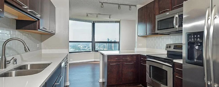 187 N Westshore Dr, Unit 3702 in Chicago, IL - Building Photo - Building Photo